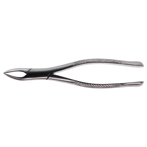 Extracting Forceps #69, 300289