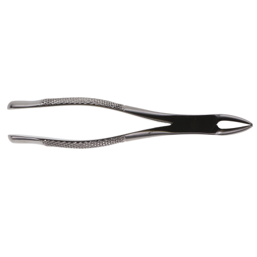 Extracting Forceps, 1/Pk