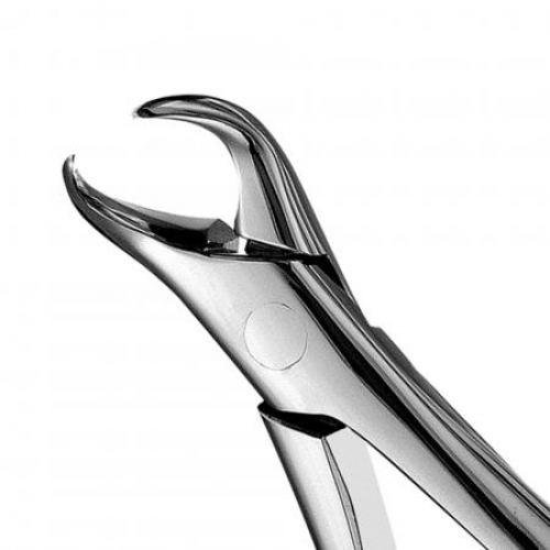 Extracting Forceps, Cowhorn, # 23, 1/Pk, F23